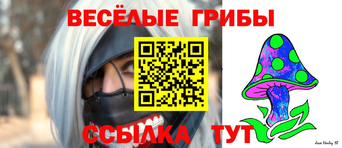 Вязники  Галлюциногенные грибы Psilocybe  Вход с VPN 